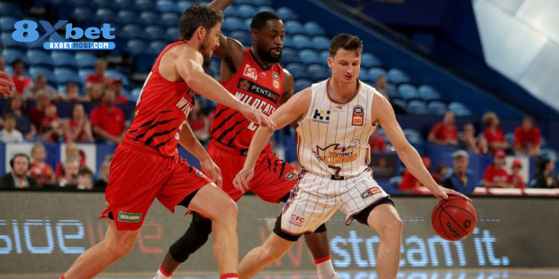 Tham khảo cách đọc kèo bóng rổ châu Á số thập phân