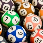 Tìm hiểu thông tin về cách nuôi lô miền Trung hiệu quả